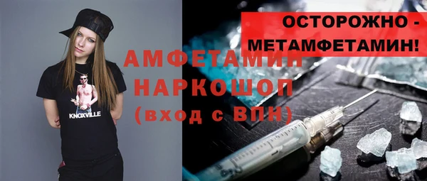 индика Алзамай