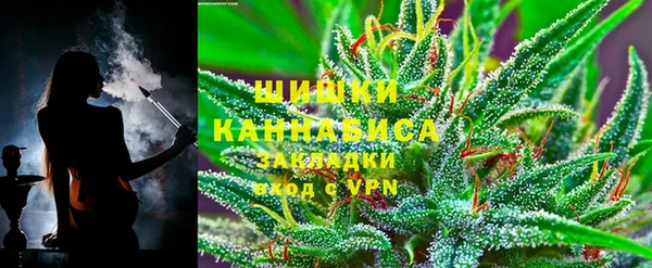 индика Алзамай