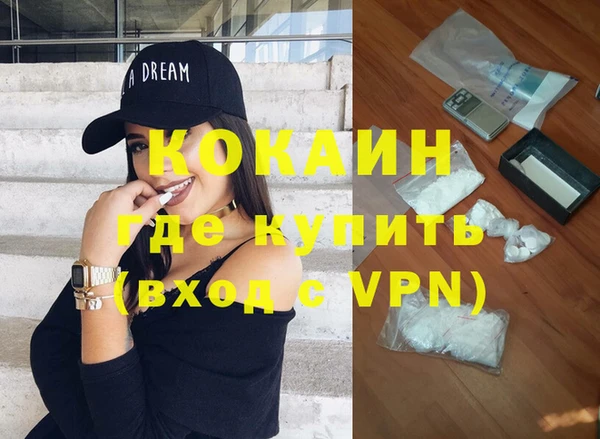 индика Алексеевка