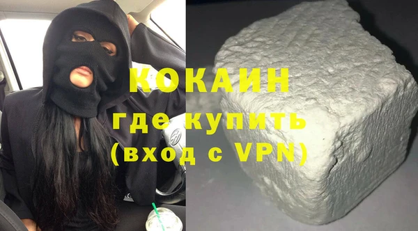 индика Алзамай