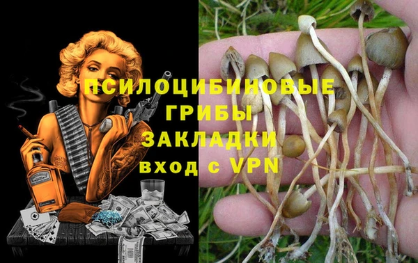индика Алексеевка